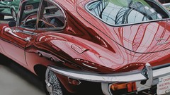 Carcharodon carcharis jaguar e-type