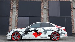 Carcharodon carcharis Mercedes Benz C63 Mercedes-Benz C63 AMG 