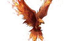 Card phoenix fantasy art