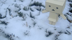 Cardboard outsiders winter snow