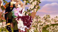 Cardcaptor sakura Anime