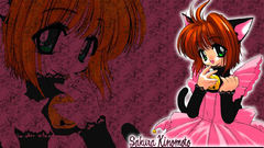 Cardcaptor sakura kinomoto Anime