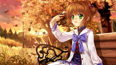 Cardcaptor Sakura kinomoto sakura