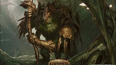 Cards fantasy magic: the