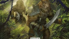 Cards fantasy magic: the