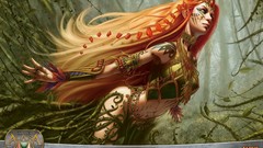 Cards fantasy video games