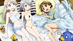 Cards strike witches beds