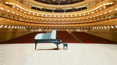 Carnegie hall instrument anyone