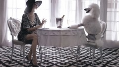 Carpet woman chairs Dogs Tables hats poodle Champagne fashion 