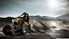 Cars ATV racing