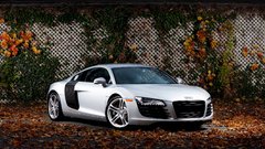 Cars audi r8