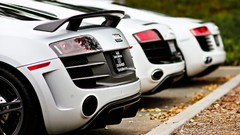 Cars audi r8 Audi R8 V10 Audi R8 V8 Audi R8 GT