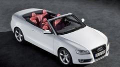 Cars Audi white cars