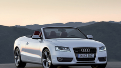Cars Audi white cars