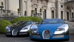 Cars Bugatti bugatti veyron
