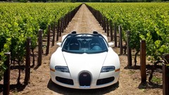 Cars Bugatti bugatti veyron