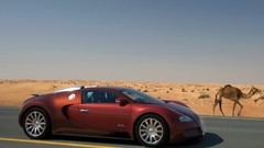 Cars Bugatti roads Camels deserts