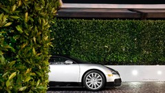 Cars Bugatti Supercars