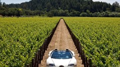 Cars bugatti veyron Bugatti