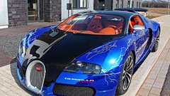 Cars Bugatti wildlife bugatti veyron