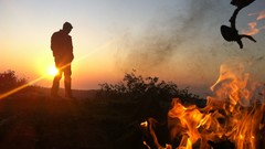 Cars Cameras Photogen and Nycteris