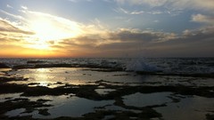 Cars Cameras Photogen and Nycteris