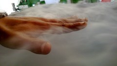 Cars Cameras Photogen and Nycteris