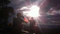 Cars Cameras Photogen and Nycteris