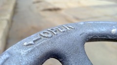 Cars Cameras Photogen and Nycteris