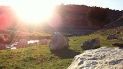 Cars Cameras Photogen and Nycteris