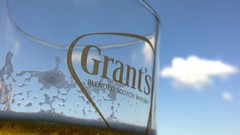 Cars Cameras Photogen and Nycteris