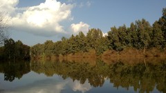 Cars Cameras Photogen and Nycteris