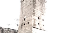 Cars Cameras Photogen and Nycteris