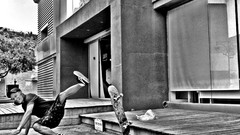 Cars Cameras Photogen and Nycteris extreme sports