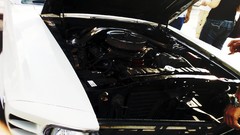 Cars Cameras Photogen and Nycteris Ford Mustang Boss 302