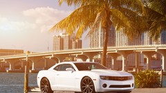 Cars chevrolet camaro