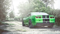 Cars Chevrolet Camaro ss chevrolet camaro ss