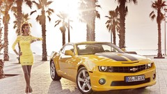 Cars Chevrolet palm trees sunlight chevrolet camaro muscle cars 