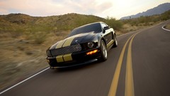 Cars classic Motorsports sports cars Ford mustang