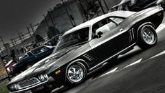 Cars Dodge Challenger dodge challenger muscle cars