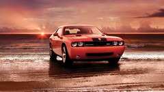 Cars dodge challenger Dodge Challenger SRT8