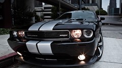Cars dodge challenger Dodge Challenger SRT8 Dodge Challenger 