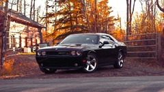Cars dodge challenger muscle cars