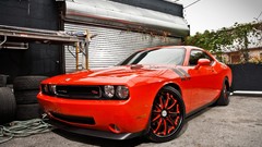 Cars Dodge dodge challenger