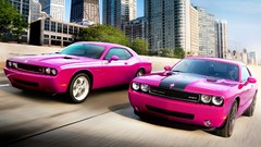 Cars Dodge dodge challenger