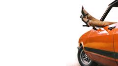 Cars female feet abstract