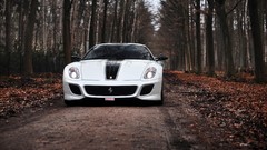 Cars Ferrari stripes forests Ferrari 599 GTO