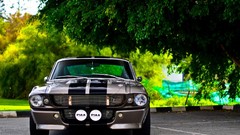 Cars Ford elanor Ford Mustang Shelby GT350