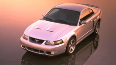 Cars Ford Ford mustang