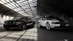 Cars Ford Ford mustang